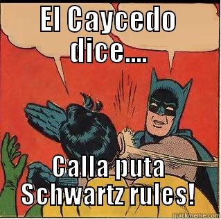 EL CAYCEDO DICE.... CALLA PUTA SCHWARTZ RULES! Slappin Batman