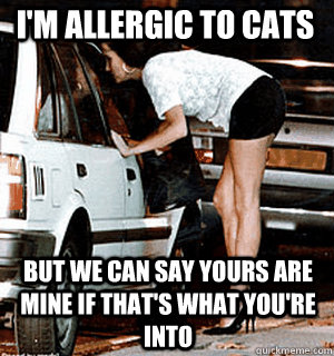 I'm allergic to cats But we can say yours are mine if that's what you're into  Karma Whore