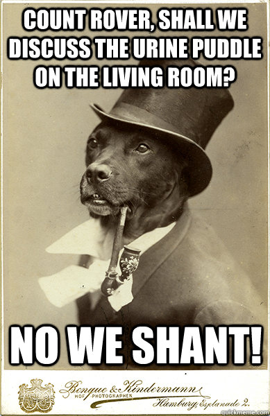 Count Rover, Shall we discuss the urine puddle on the living room? No we shant!  Old Money Dog
