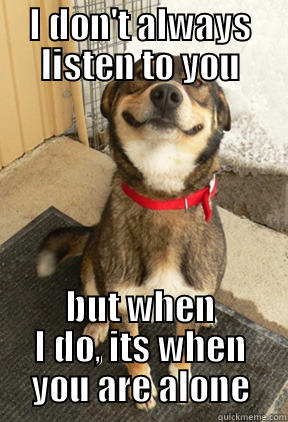 I DON'T ALWAYS LISTEN TO YOU BUT WHEN I DO, ITS WHEN YOU ARE ALONE Good Dog Greg