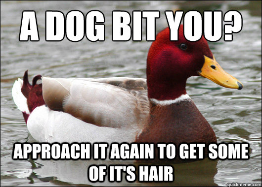 a dog bit you?
 approach it again to get some of it's hair  Malicious Advice Mallard