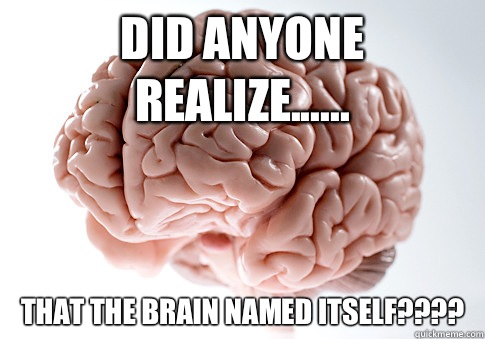 Did anyone realize...... That the brain named itself????  Scumbag Brain