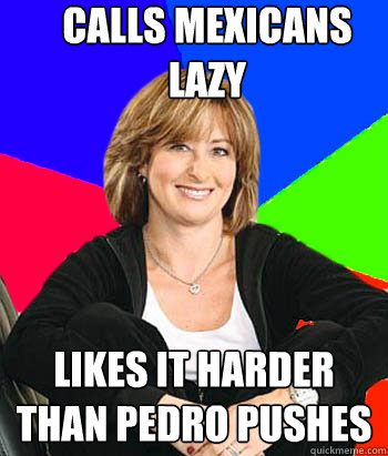 Calls Mexicans lazy Likes it harder than Pedro pushes  Sheltering Suburban Mom