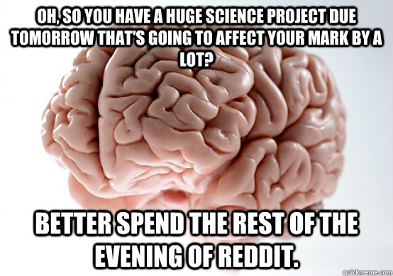 Oh, so you have a huge science project due tomorrow that's going to affect your mark by a lot? Better spend the rest of the evening of Reddit.  Scumbag brain on life