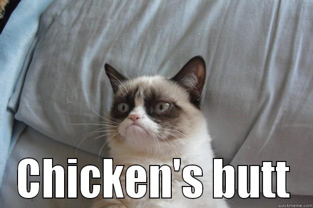  CHICKEN'S BUTT Grumpy Cat
