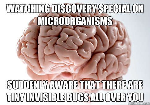 watching discovery special on microorganisms Suddenly aware that there are tiny invisible bugs all over you  Scumbag Brain