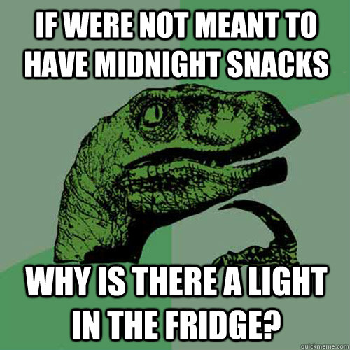 if were not meant to have midnight snacks why is there a light in the fridge? - if were not meant to have midnight snacks why is there a light in the fridge?  Philosoraptor