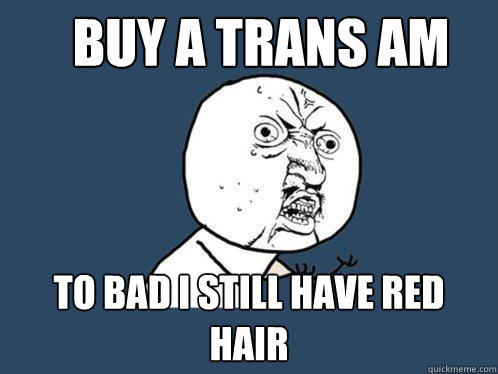 BUY A TRANS AM TO BAD I STILL HAVE RED HAIR  Y U No