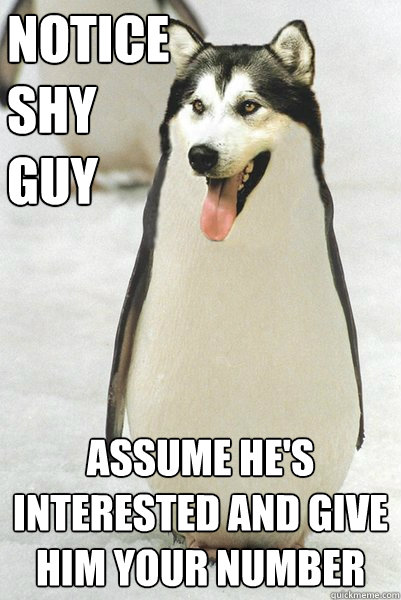 notice shy guy assume he's interested and give him your number  Courageously Awkward Wolf