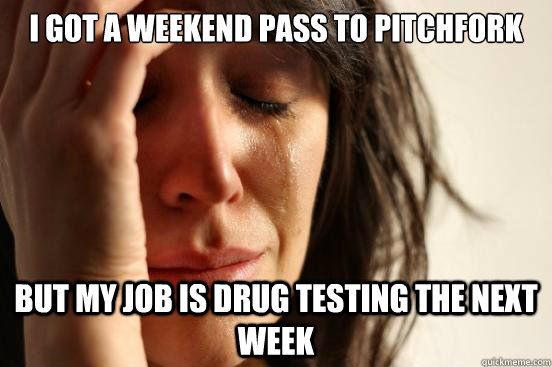 I got a weekend pass to Pitchfork  But my job is drug testing the next week  First World Problems