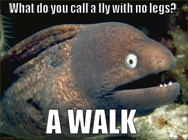 WHAT DO YOU CALL A FLY WITH NO LEGS? A WALK Bad Joke Eel