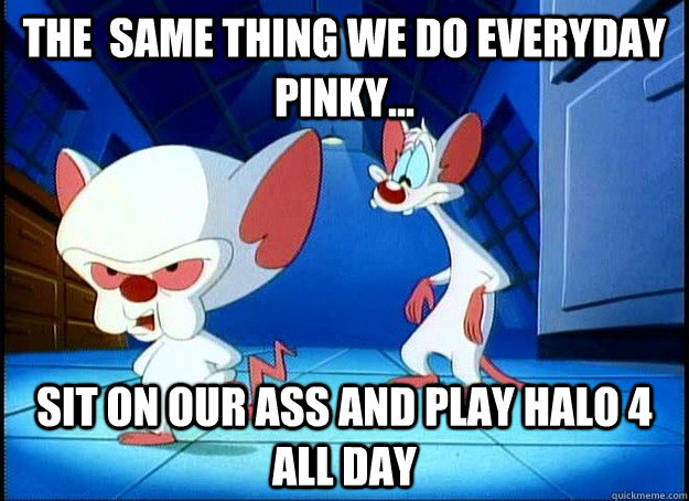 The  same thing we do everyday pinky... sit on our ass and play halo 4 all day  The Same Thing We Do Everyday