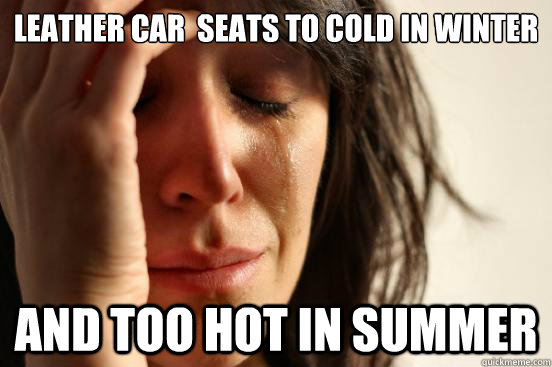 Leather car  seats to cold in winter and too hot in summer  First World Problems