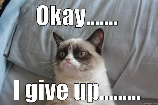 OKAY....... I GIVE UP......... Grumpy Cat