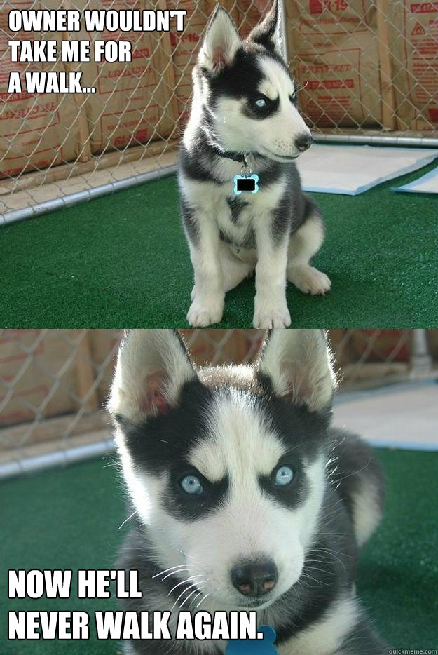 Owner wouldn't
take me for
a walk... now he'll 
never walk again.  Insanity puppy