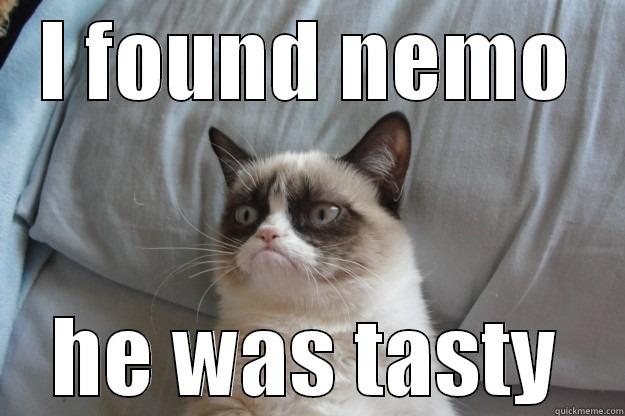 I FOUND NEMO HE WAS TASTY Grumpy Cat