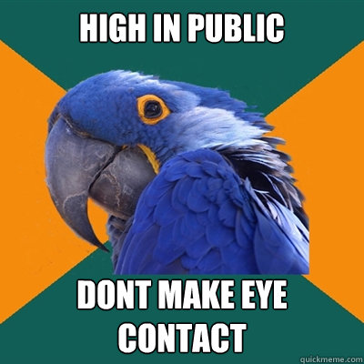 HIGH in public dont make eye contact  Paranoid Parrot