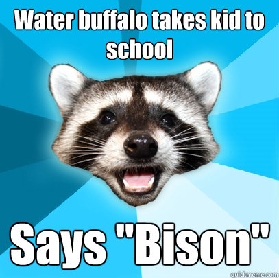Water buffalo takes kid to school Says 