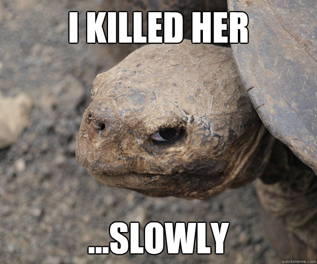 I killed her ...slowly - I killed her ...slowly  Insanity Tortoise