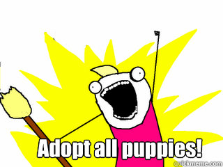 Adopt all puppies!  All The Thigns
