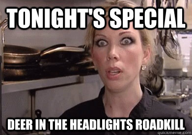 tonight's special deer in the headlights roadkill - tonight's special deer in the headlights roadkill  Crazy Amy