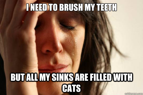 I need to brush my teeth but all my sinks are filled with cats  First World Problems