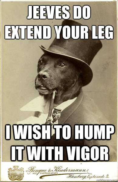 Jeeves do extend your leg
 I wish to hump it with vigor - Jeeves do extend your leg
 I wish to hump it with vigor  Old Money Dog