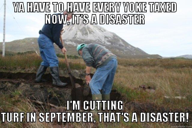 YA HAVE TO HAVE EVERY YOKE TAXED NOW, IT'S A DISASTER I'M CUTTING TURF IN SEPTEMBER, THAT'S A DISASTER! Misc