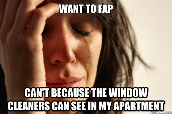 Want to fap Can't because the window cleaners can see in my apartment  First World Problems