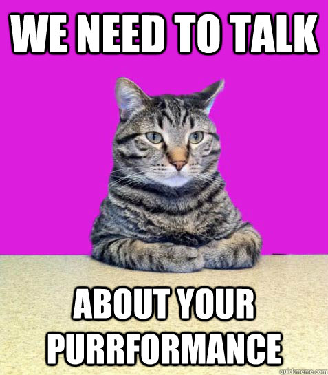 We need to talk About your purrformance - We need to talk About your purrformance  Disappointed Boss Cat