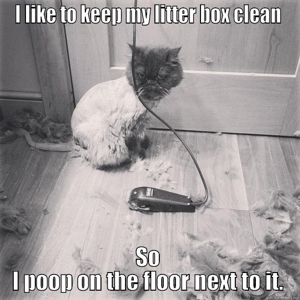 I LIKE TO KEEP MY LITTER BOX CLEAN SO I POOP ON THE FLOOR NEXT TO IT. Misc