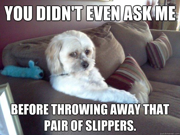 you didn't even ask me before throwing away that pair of slippers.  Disappointed Doggy