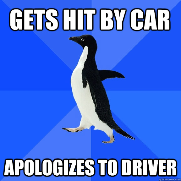 Gets hit by car Apologizes to driver  Socially Awkward Penguin