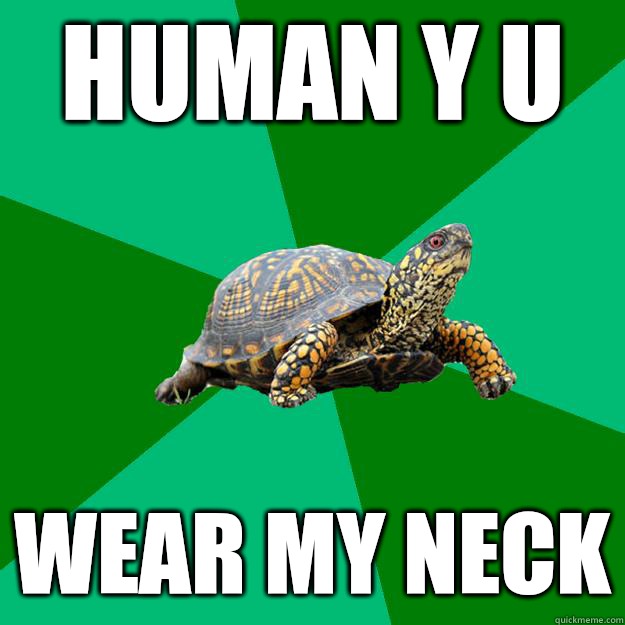 human y u Wear my neck - human y u Wear my neck  Torrenting Turtle