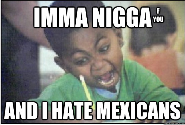 imma nigga and i hate mexicans f you  