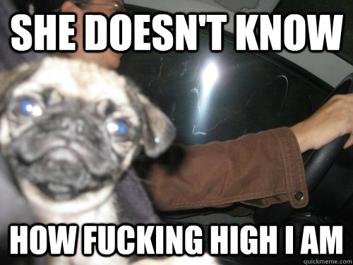 She doesn't know How fucking high I am  Sly Dog