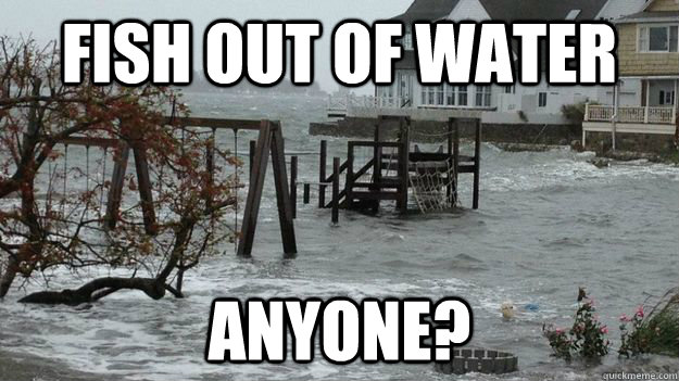 Fish out of water anyone? - Fish out of water anyone?  Hurricane Sandy