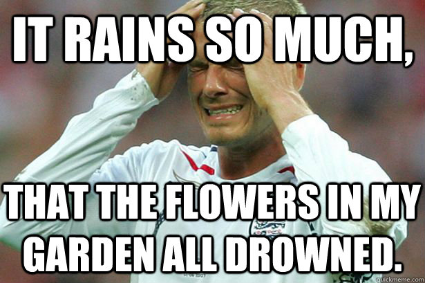 It rains so much,  That the flowers in my garden all drowned. - It rains so much,  That the flowers in my garden all drowned.  British First World Problems