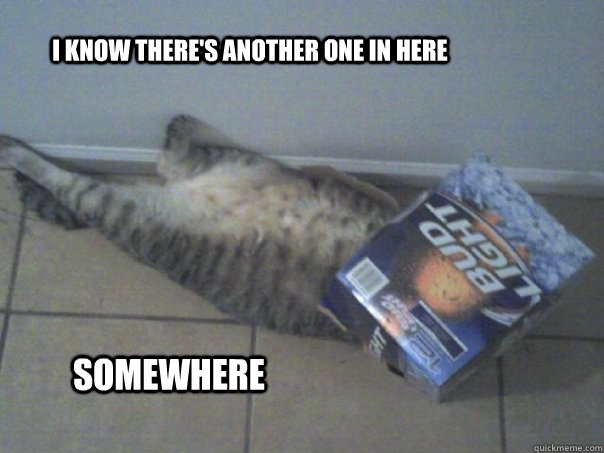I know there's another one in here Somewhere  Alcoholic Cat
