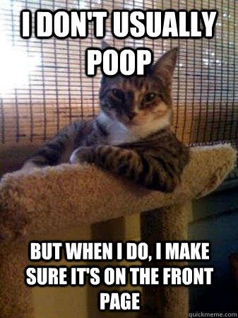 I don't usually poop but when I do, I make sure it's on the front page  The Most Interesting Cat in the World