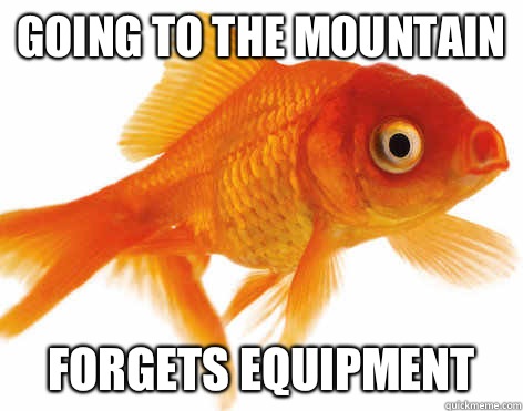 going to the mountain forgets equipment  Forgetful Fish