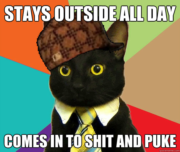 Stays outside all day  comes in to shit and puke  Scumbag Cat