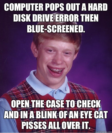 computer pops out a hard disk drive error then blue-screened. Open the case to check and in a blink of an eye cat pisses all over it.  Bad Luck Brian