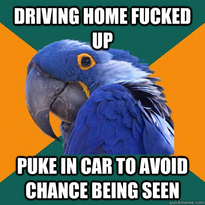 driving home fucked up puke in car to avoid chance being seen   Paranoid Parrot