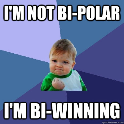 i'm not bi-polar i'm bi-winning - i'm not bi-polar i'm bi-winning  Success Kid