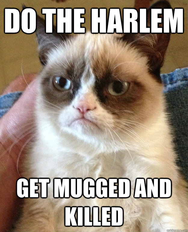 do the harlem get mugged and killed - do the harlem get mugged and killed  grumpycat