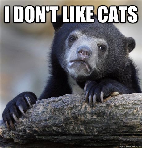 I don't like cats   Confession Bear