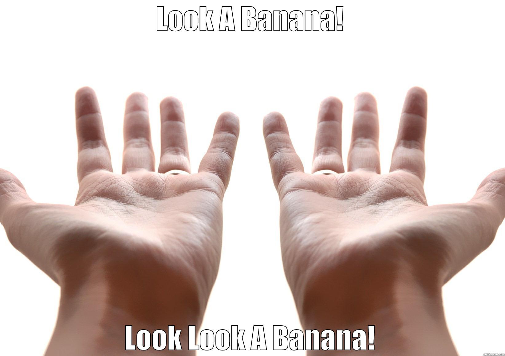 LOOK A BANANA! LOOK LOOK A BANANA! Misc