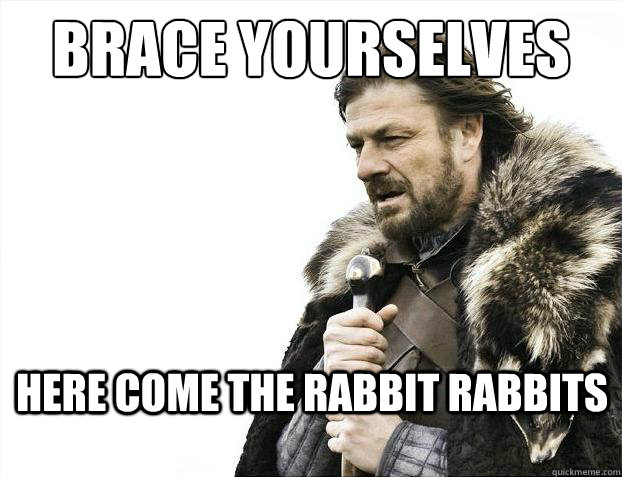 Brace yourselves Here come the rabbit rabbits  Brace Yourselves - Borimir