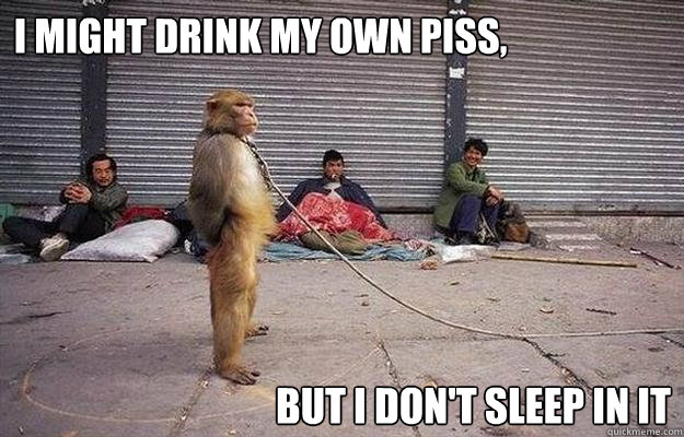 Best Monkey Memes!  Sleep meme funny, Sleep funny, Funny monkey memes